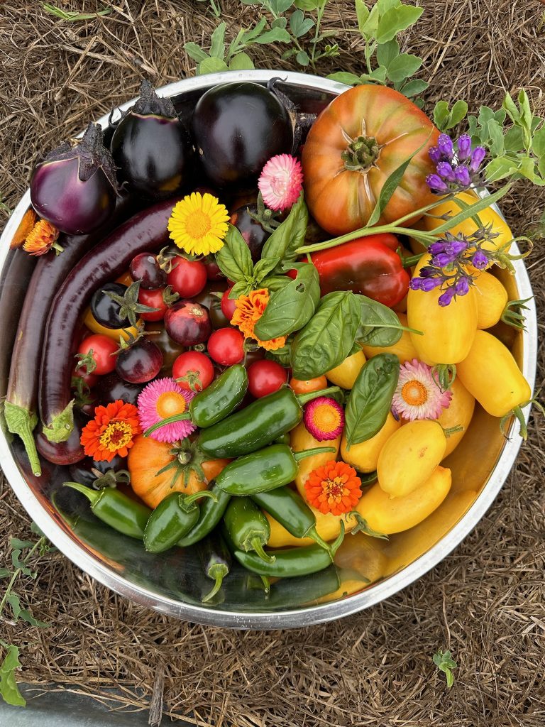 harvest4